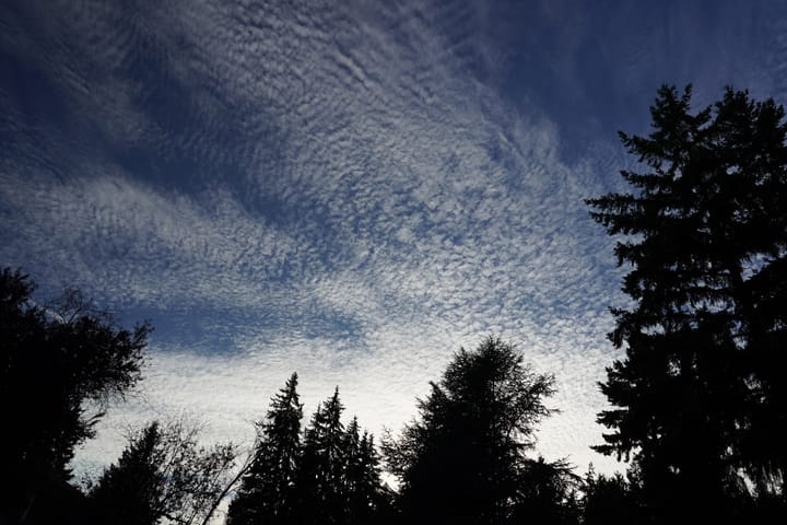 PNW cloudy evening